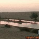 1523232992_347467041.gif