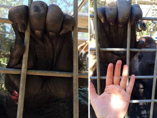 153521386025002631141245e4b136b457226f8ef8__mn98730__w700__h530__f72494__Ym201808.jpg