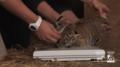 9373DD39-787D-4CD6-AC75-A18FE285C59C.gif