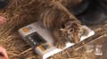 285303DA-015A-4B1B-B0C0-B72F2550A427.gif