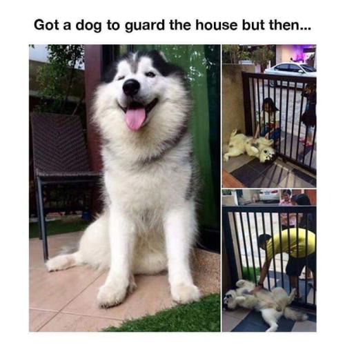 04386E13-2BD0-4DF2-B03F-0B30CB6FB64D.jpeg