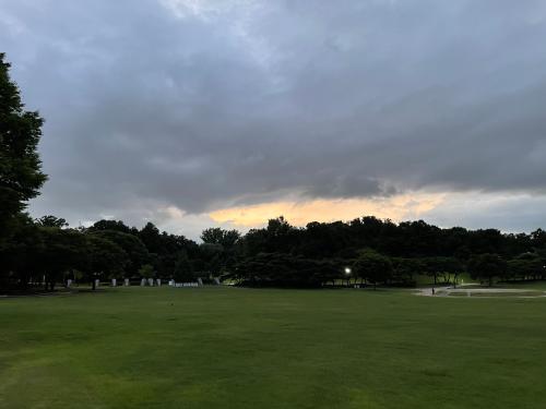 5E5C011D-7193-427E-8B1A-5A7D82D1C3C0.jpeg