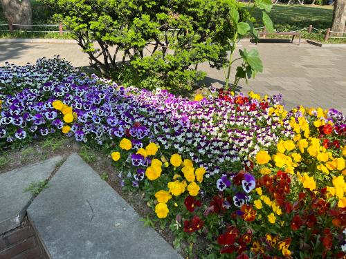 D39995EF-1A04-4BC9-B0DE-566996A00B60.jpeg