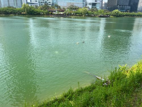 19DFF07B-4E79-403F-8099-96710D27145D.jpeg