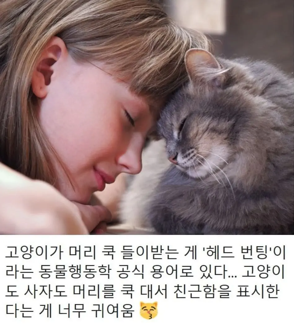 C3880753-C11C-4834-A27E-C1D33F3FA6C6.webp