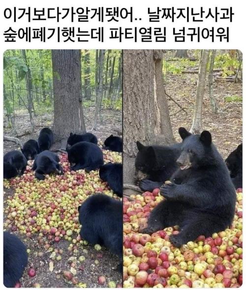 AE1AA08F-0E6C-4916-B1EA-C4B6BA25DF62.jpeg