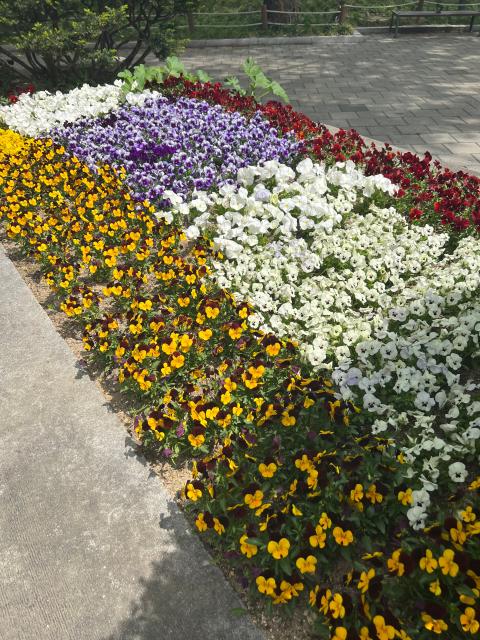 IMG_9393.jpeg