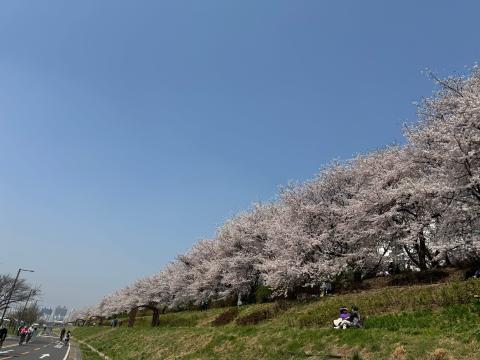 IMG_5307.jpeg