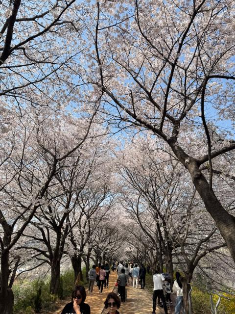 IMG_5317.jpeg