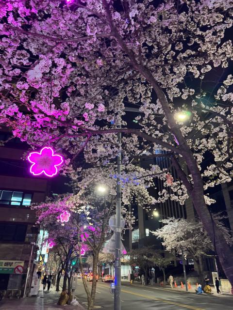IMG_5333.jpeg