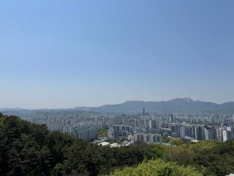 IMG_5463.jpeg