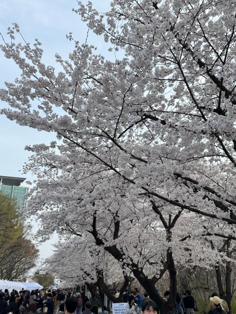 IMG_6467.jpeg